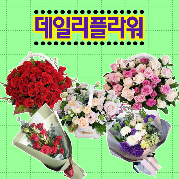 데일리플라워 생화 꽃바구니 꽃다발 생일 출산 전국 꽃배달서비스 당일배송